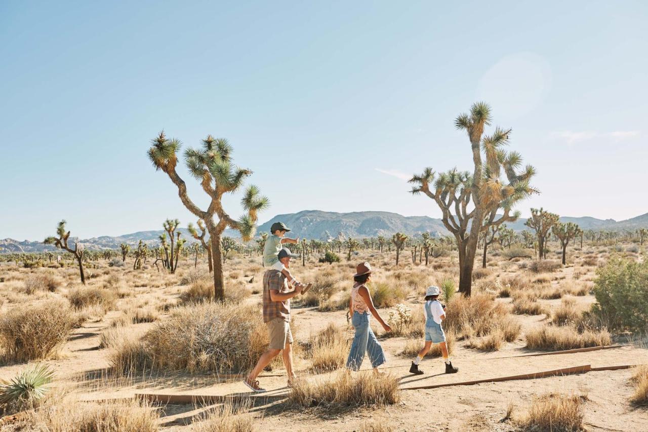 Field Station Joshua Tree Hotell Yucca Valley Exteriör bild